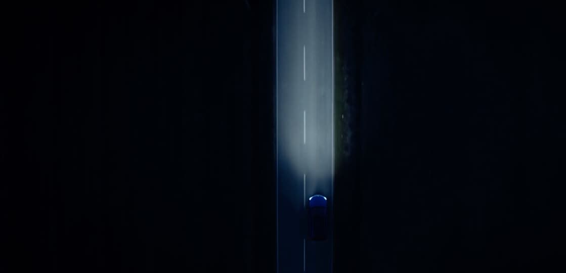 auto light assist