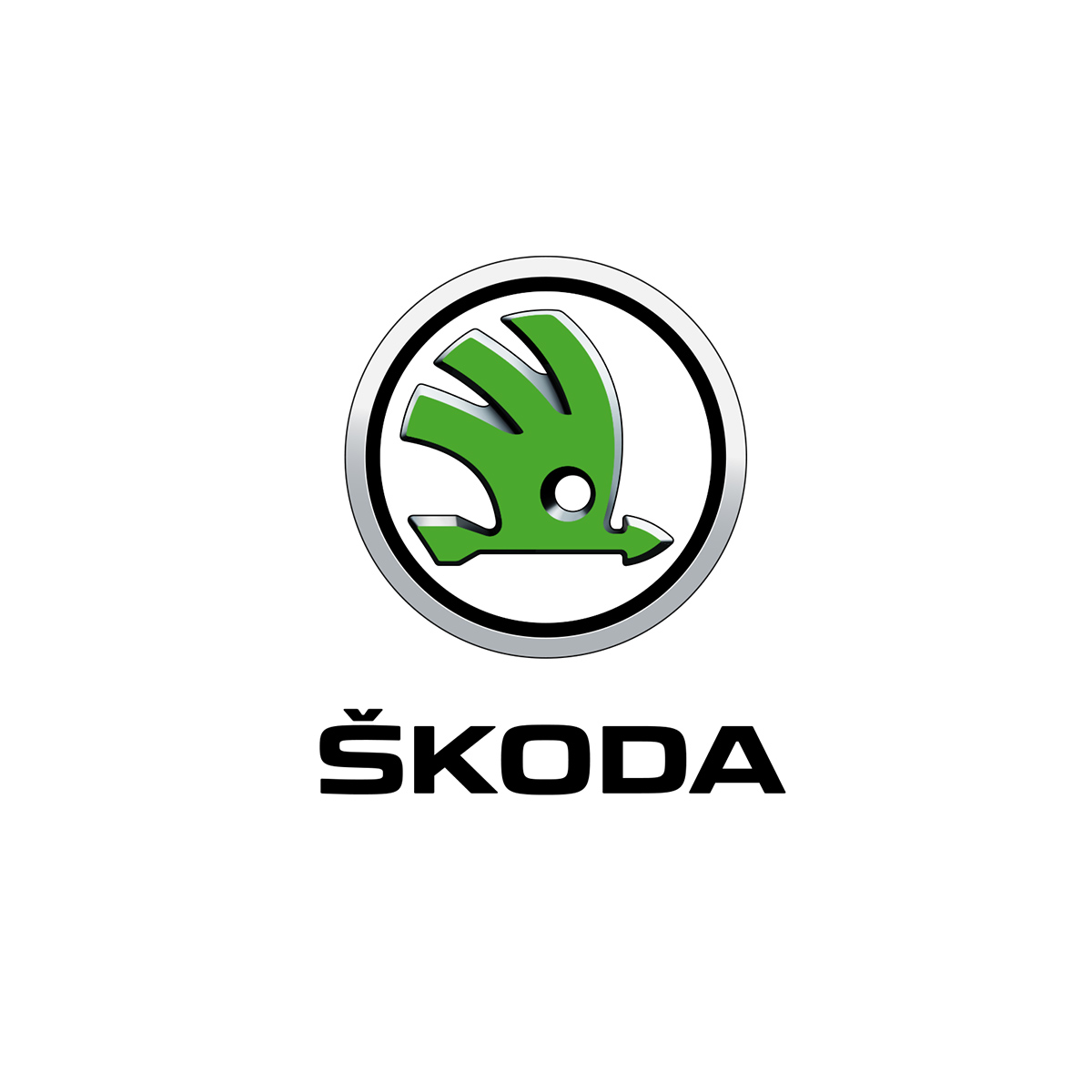 skoda fondo blanco