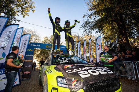 cohete y pin consiguen titulo de marcas para skoda